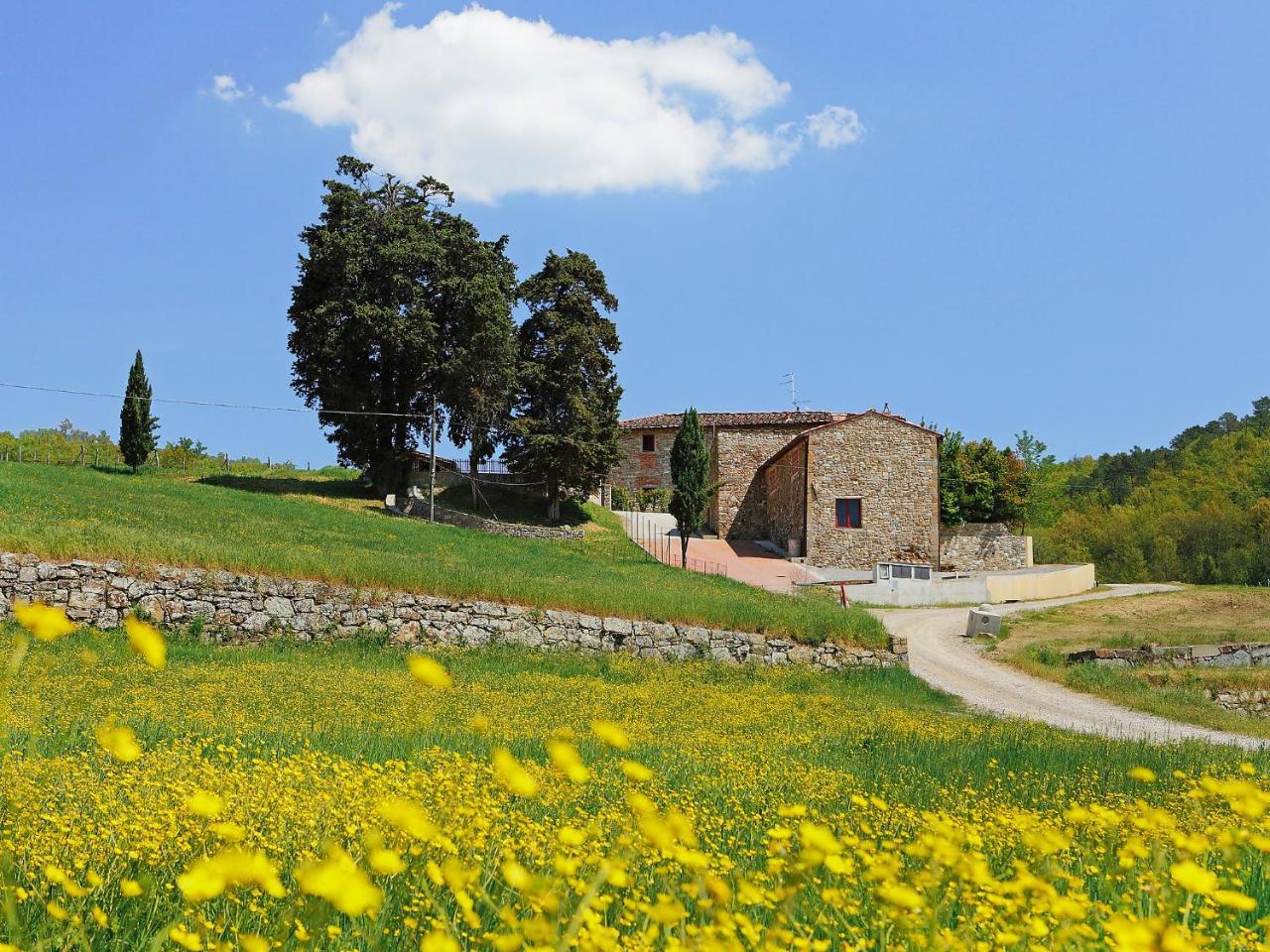 Villa Locazione Turistica Locazione Turistica Selvapiana Greve in Chianti Esterno foto